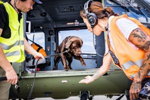 Rescue Dogs In Germany Learn To Face Helicopter Noise In New Training Program