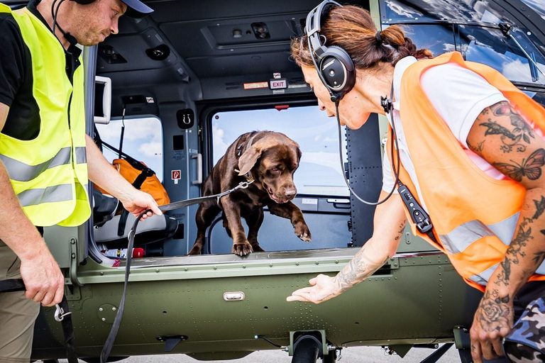 Rescue Dogs In Germany Learn To Face Helicopter Noise In New Training Program