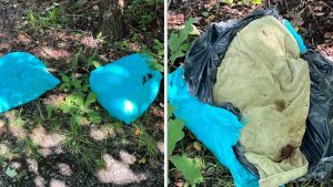 Reward Offered In Wolcott Conn Animal Cruelty Case