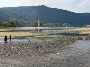 Rhine Water Levels Remain Near Record Lows Raising Transport Costs