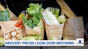 Rising Grocery Costs Dominate Conversation In New York S 17Th District As Midter