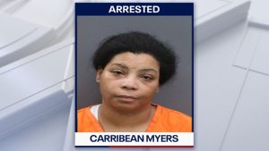 Riverview Mother Arrested After 11 Year Old Drives Suv Into 7 Eleven