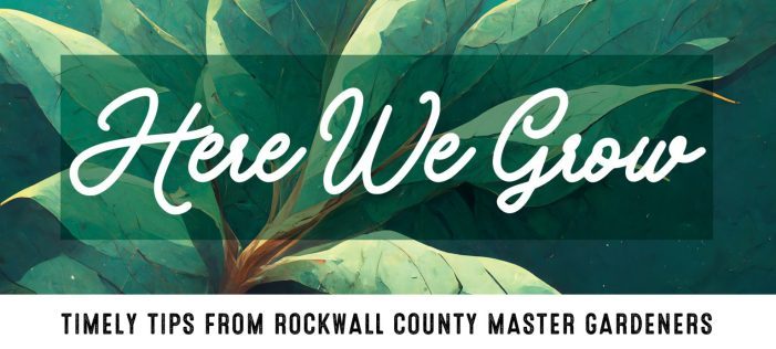 Rockwall County Master Gardeners Promote Worm Composting