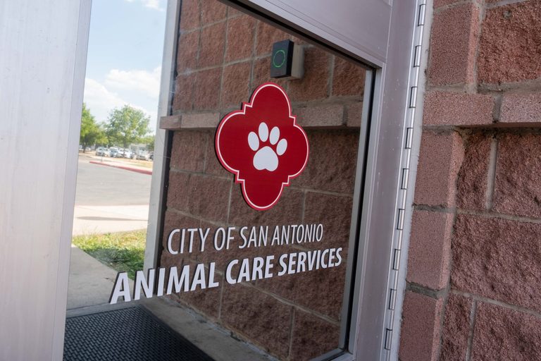 San Antonio Expands Acs Budget To Boost Humane Animal Care And Spay Neuter Progr