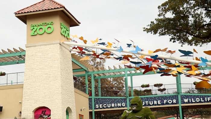 San Antonio Zoo Recognized As One Of The World S Best By Cond Nast Traveler