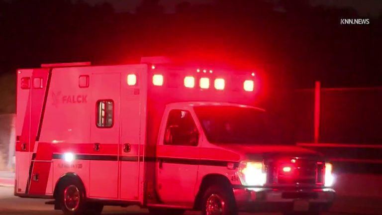 San Dimas Parents Give Birth On Highway Lafd Assists Newborn Arrival