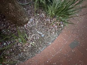 Santa Barbara Keeps Fiesta Debris Out Of Storm Drains