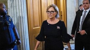 Sc Senate Seat Up For Grabs