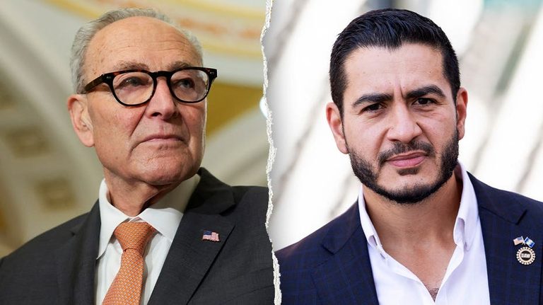 Schumer Says Democrats Will Win Michigan Senate Seat But Candidate Abdul El Saye