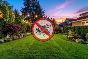 Simple Fan Setup Helps Minnesota Families Enjoy Bug Free Evenings