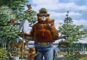 Smokey Bear Turns 82