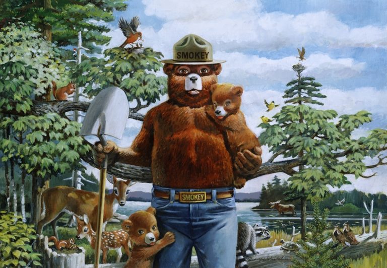 Smokey Bear Turns 82