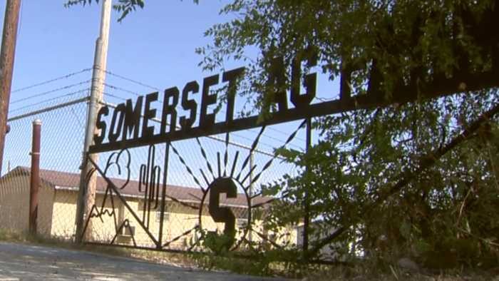 Somerset Isd Loses 20 Show Animals After Suspected Dog Attacks At Ag Barn