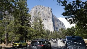 Speed Climber Dies In Accident