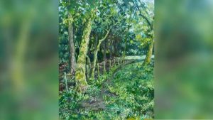 Spoonbill Gallery Launches Grounded Art Show By Local Painter Michelle Berg Radf