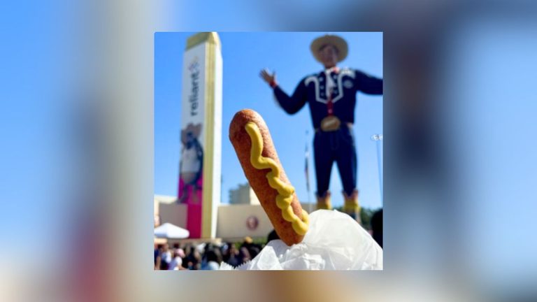 State Fair Of Texas Ranked 6Th For Festival Foods