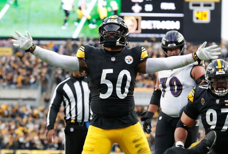 Steelers Reunite With Lb Elandon Roberts