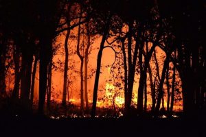 Study Warns European Wildfires Could Triple By Century S End