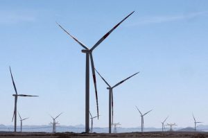 Sustainable Fund Launches Slow