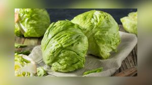 Sysco Stops Buying Mexican Lettuce Amid Cyclospora Outbreak