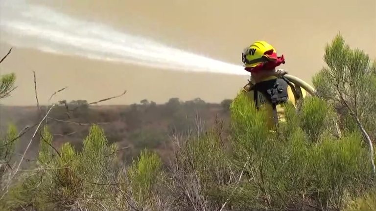 Taffle Fire Burns Near Hemet
