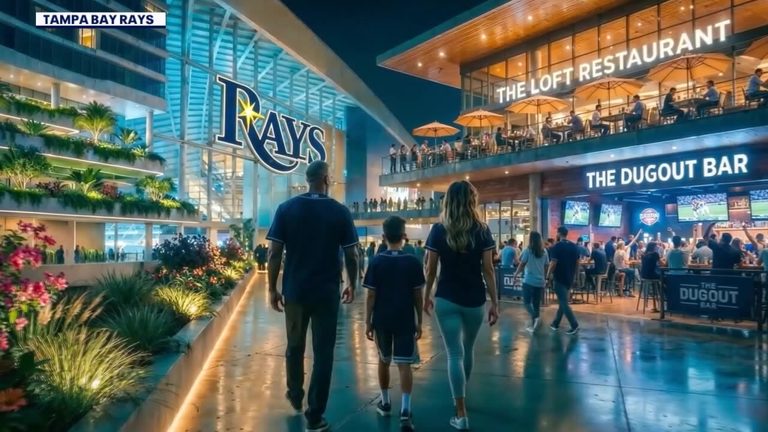 Tampa City Council And Hillsborough Commissioners Review Rays 2 3B Stadium Commu