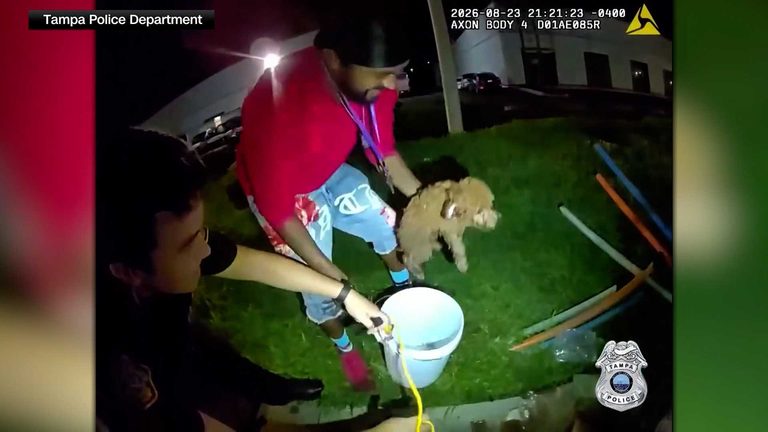 Tampa Officers Rescue Puppy From Storm Drain Using Cheese