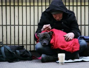 Tampa Opens 4 4M Shelter For Homeless Veterans