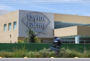 Taylor Farms Recalls Salsa Guacamole Over Salmonella Risk