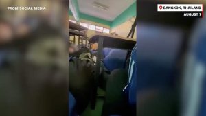 Teen Kills 5 In Thailand School Shooting