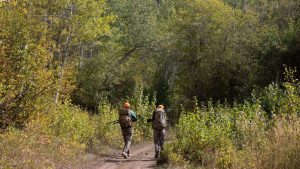 Teton County Health Officials Urge Hunters To Keep Mental Health And Safe Gun St