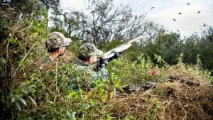 Texas Dove Season Opens Statewide On Sept 1 Giving South Hunters Early Start