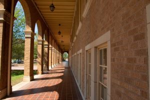 Texas Tech S Most Popular Majors Show Business Leads Student Choices