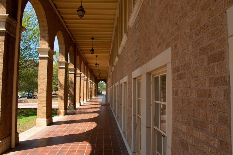 Texas Tech S Most Popular Majors Show Business Leads Student Choices
