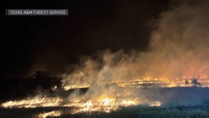 Texas Wildfires Rage On