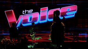 The Voice Gets Celebrity Edition