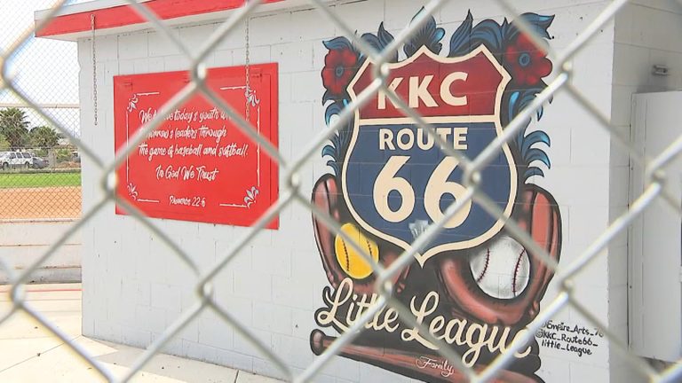 Thief Steals Little League Team S Equipment