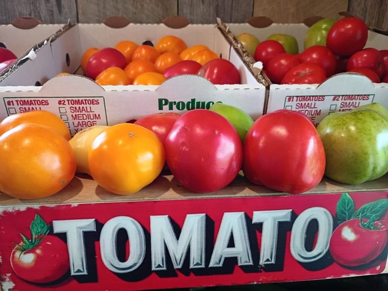 Tomato Crop Overflows At Indiana Farmers Markets