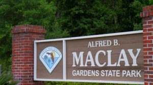 Top Hiking Trails Near Tallahassee For Fans Visiting The Florida State New Mexic