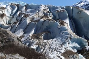 Trump Administration Moves To Rescind 2001 Roadless Rule On National Forests