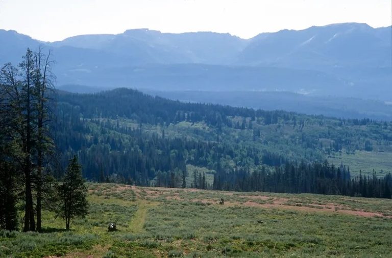 Trump Administration Moves To Rescind Wyoming Roadless Rule Opening 3 2 Million