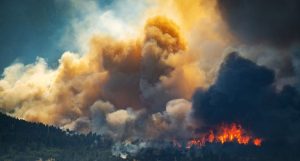 Trump Administration S New Wildland Fire Service Faces Criticism Amid Record Wes