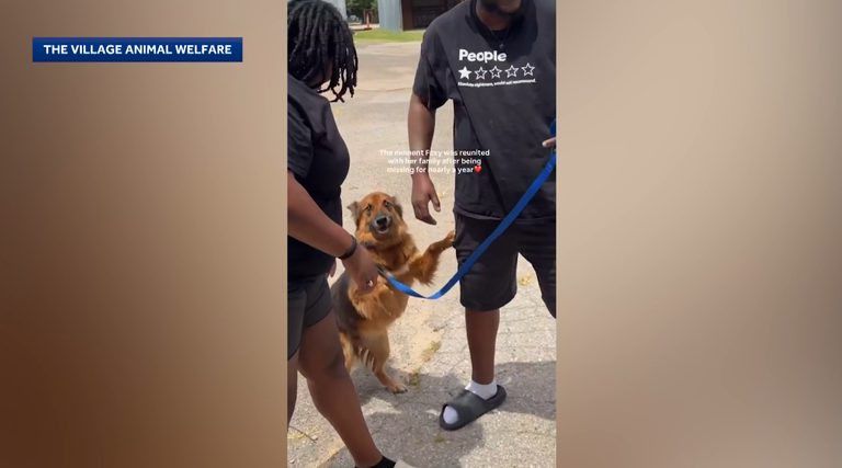 Tulsa Family Reunited With Dog
