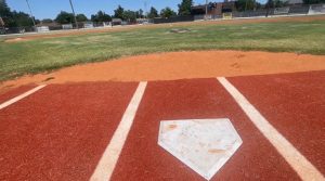 Tulsa Team Plays For Little League World Series Berth