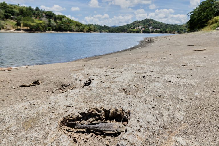 U S Declares Drought Disaster For 26 Puerto Rico Municipalities