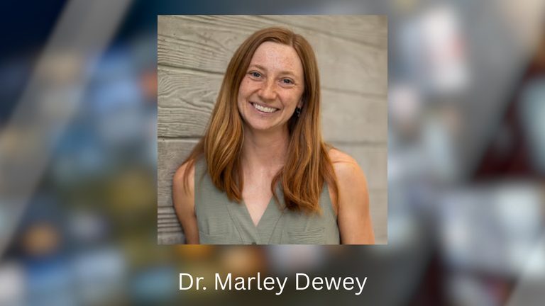 Ucsb Professor Receives Grant