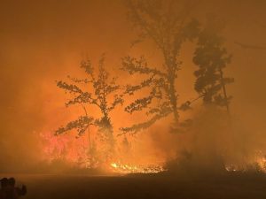 Union County Wildfire 80 Contained Evacuation Lifted For Most Residents