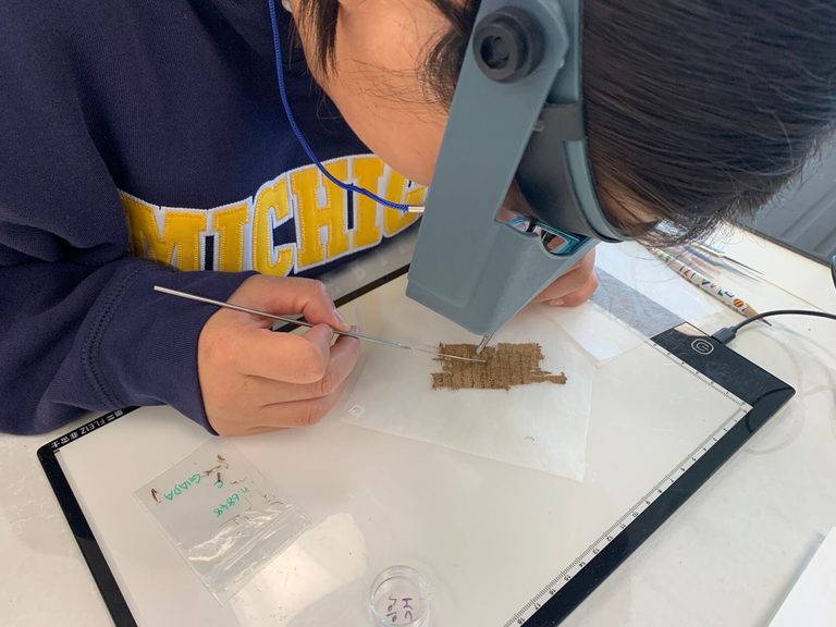 University Of Michigan Hosts Rare Papyrus Conservation Summer Seminar