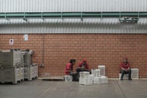 Us Partially Restarts Activities In Mexico S Avocado Hub