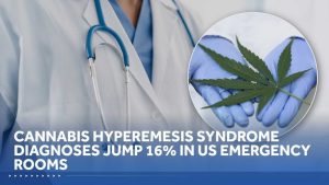 Us Sees Rise In Nausea Cases Among Frequent Marijuana Users
